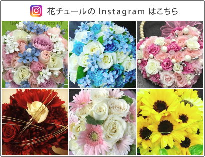 ԃ`[Insatagram͂